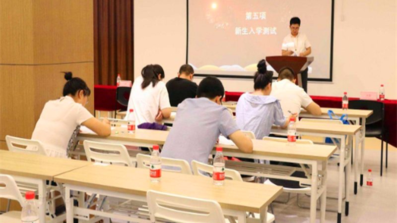 根据需求分析的结果，制定详细的内训计划。计划应包括以下内容：