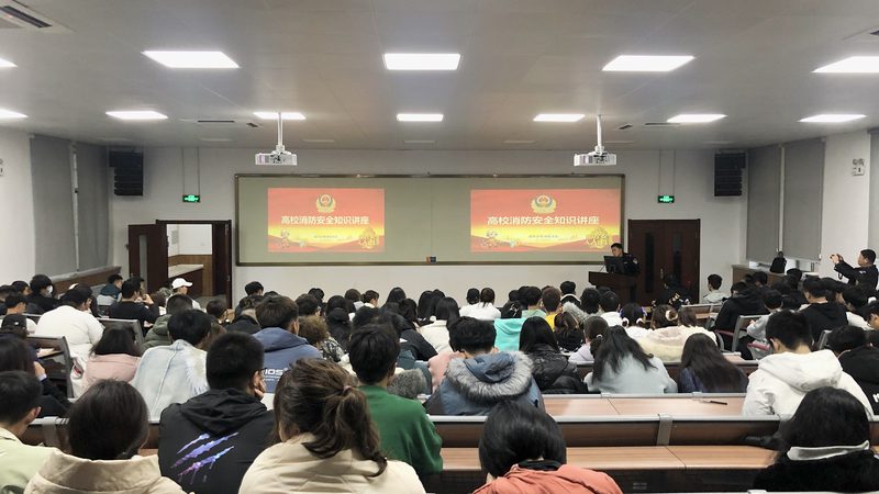 叉车证与挖掘机证：工作前景对比分析